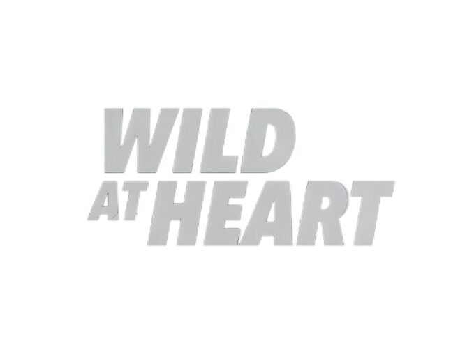 Gray Wild at Heart text logo