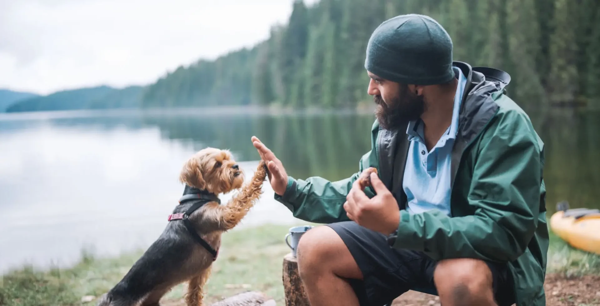 Man high-fiving small dog by lakeside