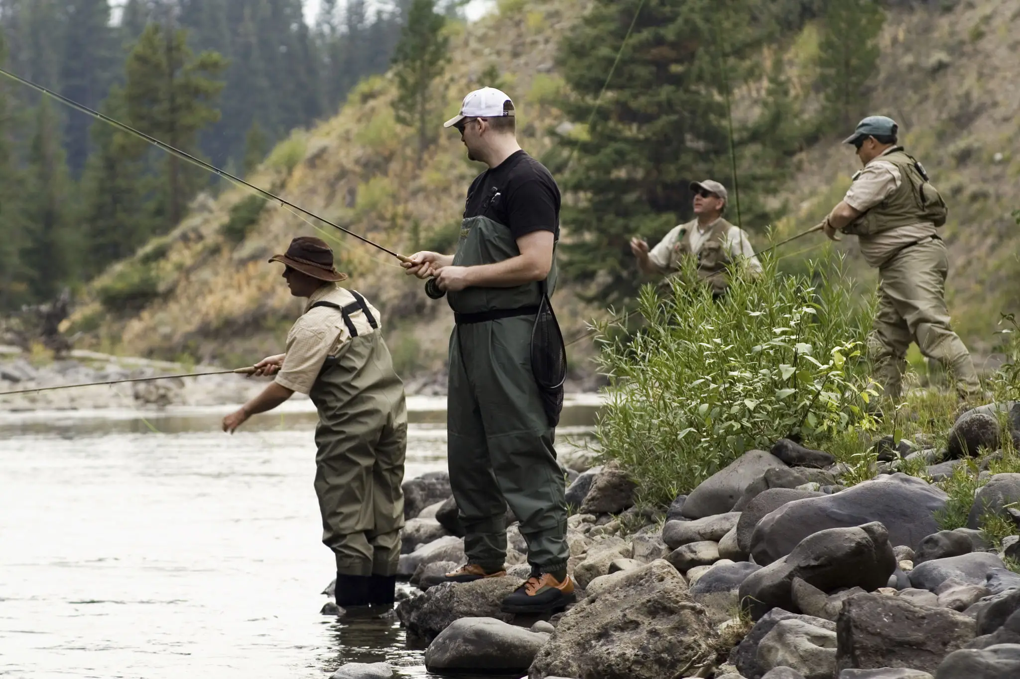 Four men fly fishing along forested riverbank