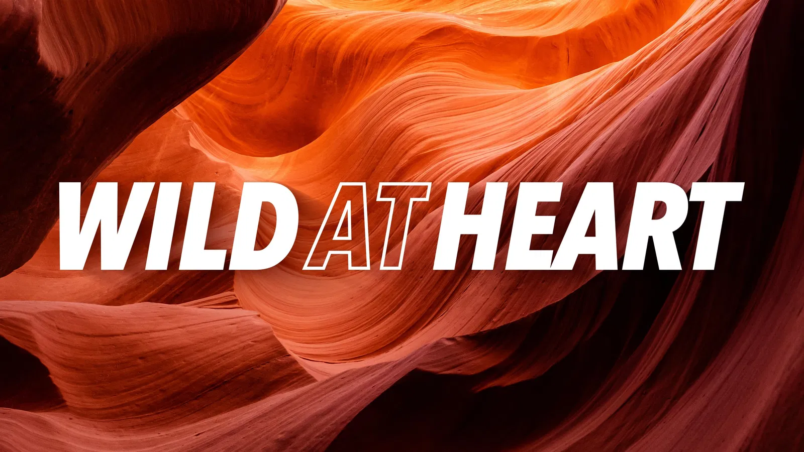 Red sandstone canyon with "Wild at Heart" text
