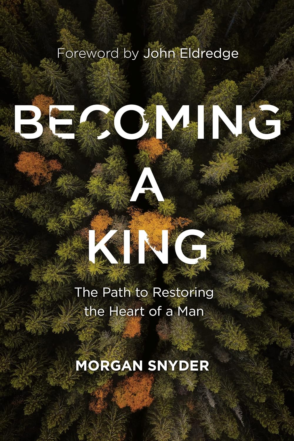 Becoming a King book cover by Morgan Snyder