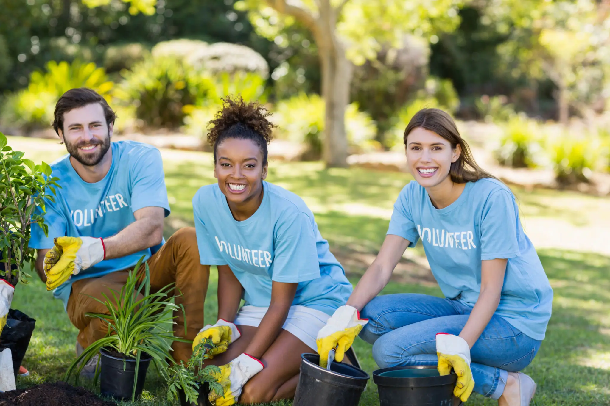 Volunteers planting shrubs in a community park