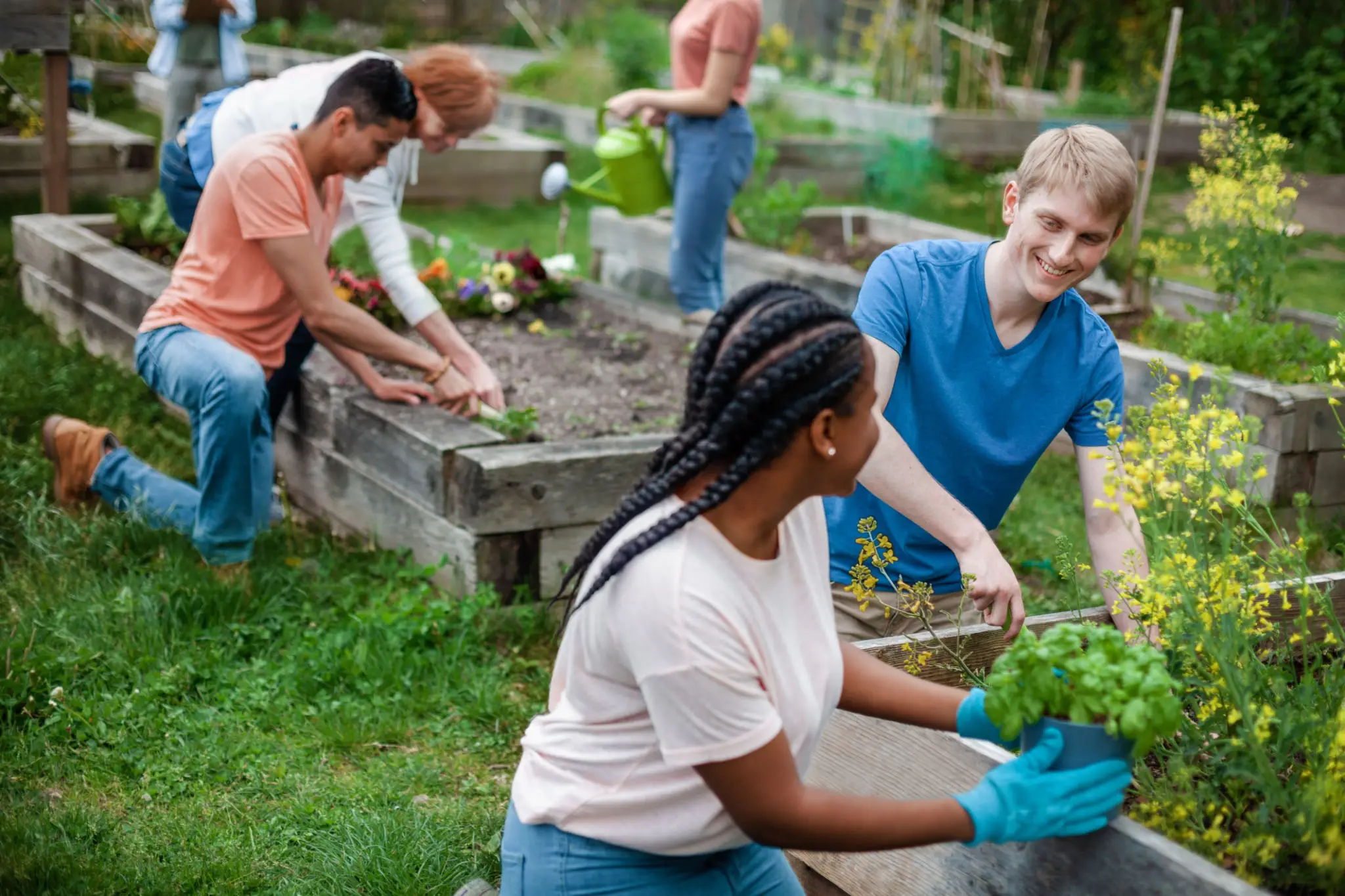 Volunteers planting in community garden beds